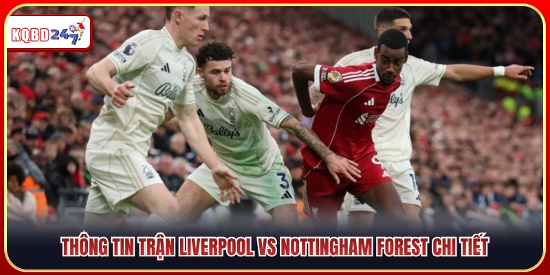 Cập nhật thông tin toàn diện về cuộc đối đầu Liverpool vs Nottingham 